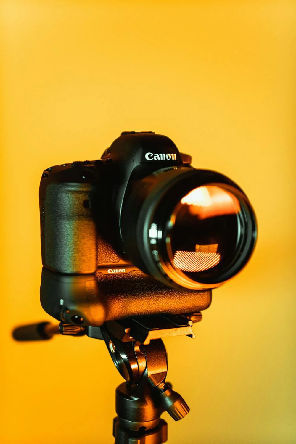 Professional camera equipment
